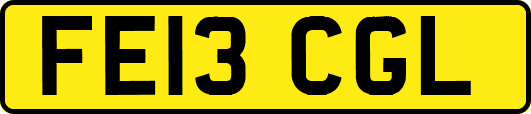 FE13CGL