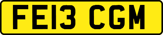 FE13CGM