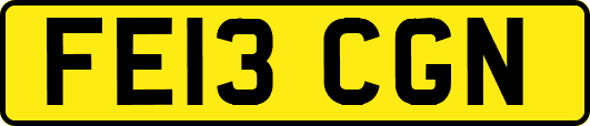 FE13CGN