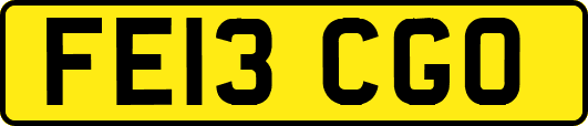 FE13CGO