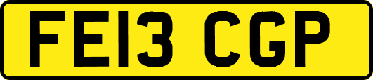 FE13CGP