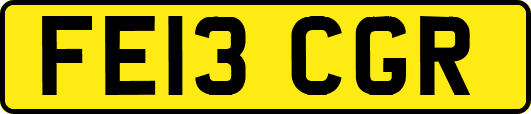FE13CGR