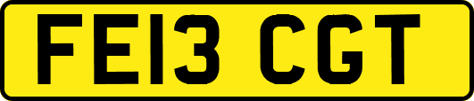 FE13CGT