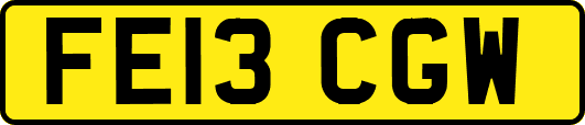 FE13CGW