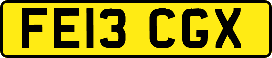 FE13CGX