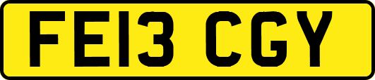 FE13CGY