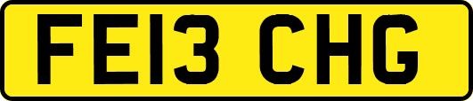 FE13CHG