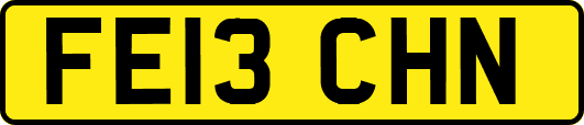 FE13CHN