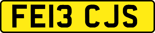 FE13CJS