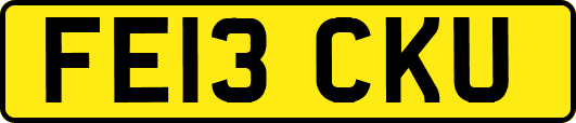 FE13CKU
