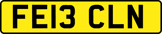 FE13CLN