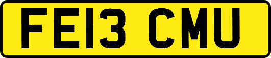 FE13CMU