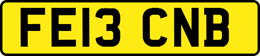 FE13CNB