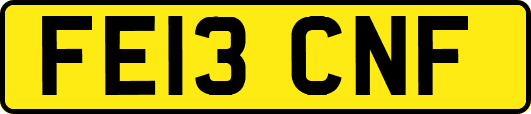 FE13CNF