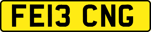 FE13CNG