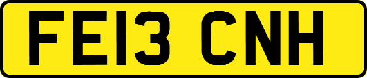FE13CNH