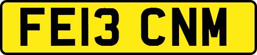 FE13CNM
