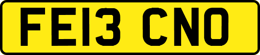 FE13CNO
