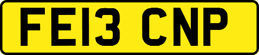 FE13CNP