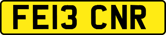 FE13CNR