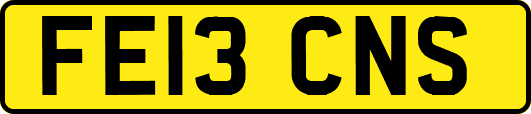FE13CNS