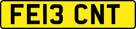 FE13CNT
