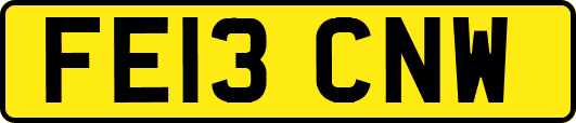 FE13CNW