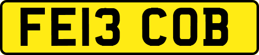 FE13COB