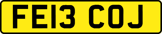 FE13COJ