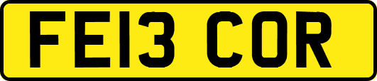 FE13COR
