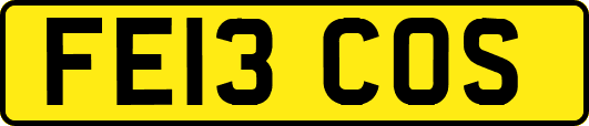 FE13COS