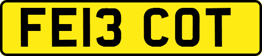 FE13COT