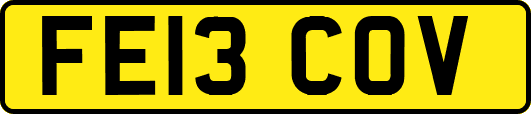 FE13COV
