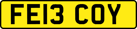 FE13COY