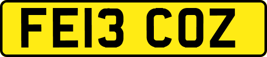 FE13COZ
