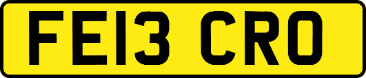 FE13CRO