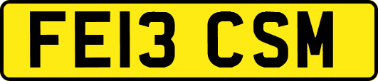 FE13CSM