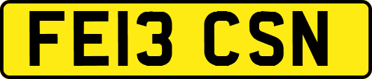 FE13CSN