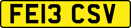 FE13CSV