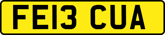 FE13CUA