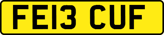 FE13CUF