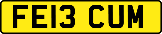 FE13CUM