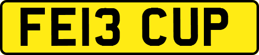 FE13CUP