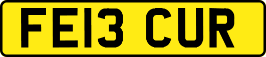FE13CUR