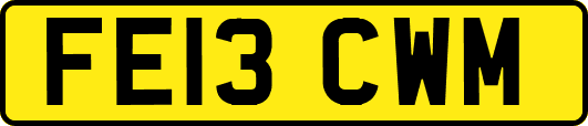 FE13CWM