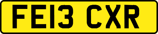 FE13CXR