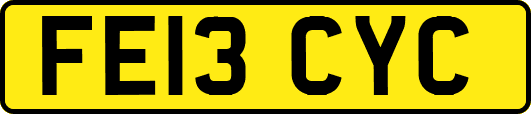 FE13CYC