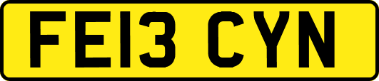 FE13CYN