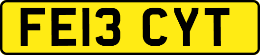 FE13CYT