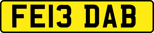 FE13DAB